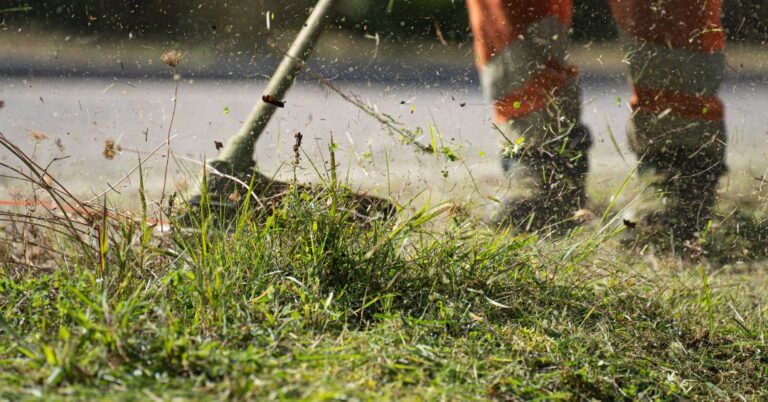 corte de grama em Palmas